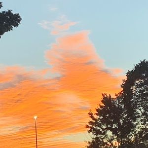 Meet your Posher, Sean